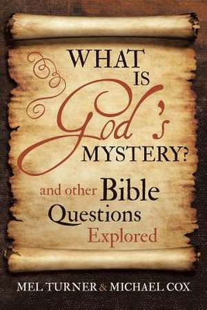 What Is God's Mystery? de Mel Turner