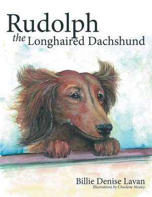 Rudolph the Longhaired Dachshund de Billie Denise Lavan