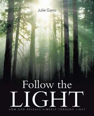 Follow the Light de Julie Garro