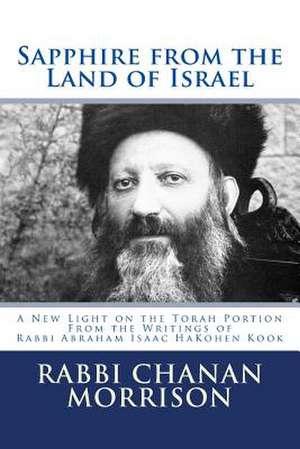 Sapphire from the Land of Israel de Rabbi Chanan Morrison