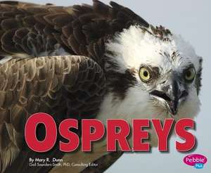 Ospreys de Mary R. Dunn