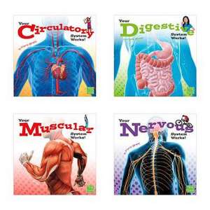 Your Body Systems de Flora Brett