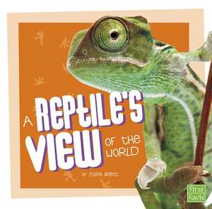 A Reptile's View of the World de Flora Brett