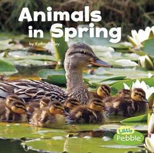 Animals in Spring de Kathryn Clay