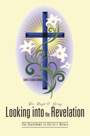 Looking Into the Revelation de Boyd O. Gray