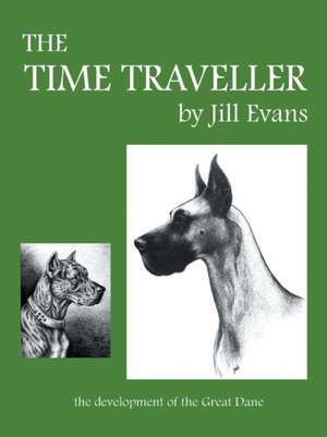 The Time Traveller de Jill Evans