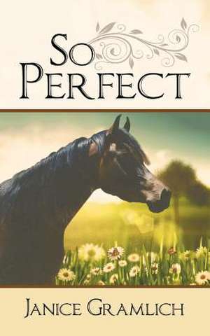 So Perfect de Janice Gramlich