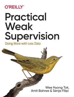 Practical Weak Supervision de Wee Hyong