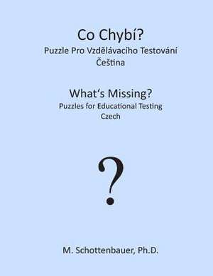 What's Missing? Puzzles for Educational Testing: Czech de M. Schottenbauer