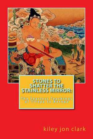 Stones to Shatter the Stainless Mirror de Kiley Jon Clark