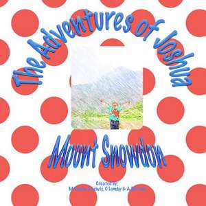 The Adventures of Joshua Mount Snowdon de Mrs E. Lewis