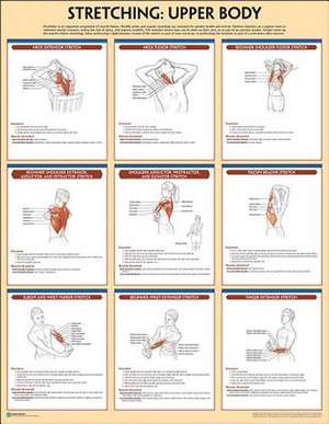 Stretching Poster de Human Kinetics