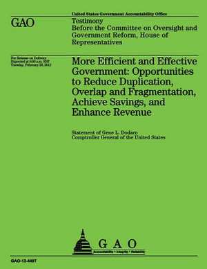 More Efficient and Effective Government de Government Accountability Office (U S )