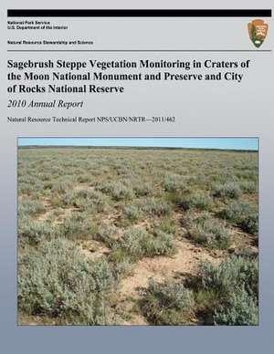 Sagebrush Steppe Vegetation Monitoring in Craters of the Moon National Monument and Preserve and City of Rocks National Reserve 2010 Annual Report de National Park Service