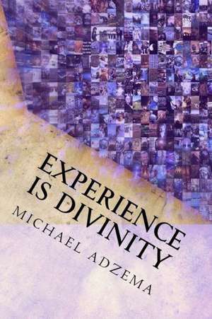 Experience Is Divinity: Matter as Metaphor de Michael Adzema