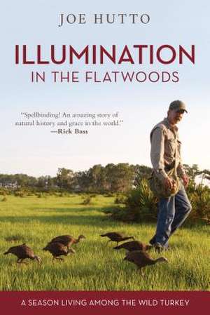 ILLUMINATION IN THE FLATWOODS PB de Joe Hutto