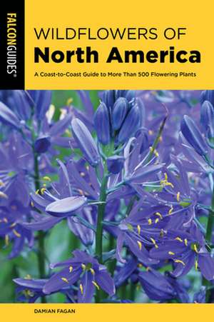 Wildflowers of North America de Damian Fagan