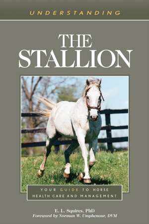 Understanding the Stallion de E. L. Squires