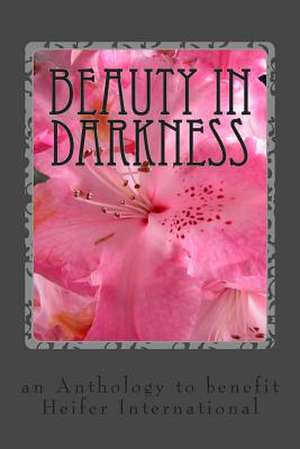 Beauty in Darkness de Stephanie Rabig