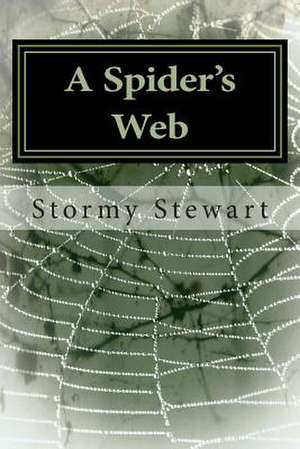 A Spider's Web de Stormy Stewart