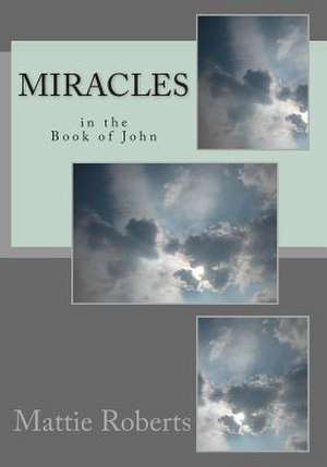 Miracles in the Book of John de Mattie Roberts