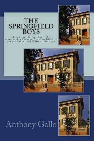 The Springfield Boys de MR Anthony E. Gallo