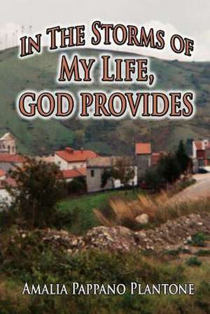 In the Storms of My Life, God Provides de Amalia Pappano Plantone