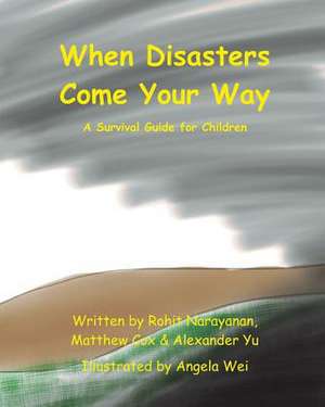 When Disasters Come Your Way de Rohit Anant Narayanan