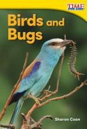 Birds and Bugs (Foundations) de Sharon Coan