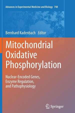 Mitochondrial Oxidative Phosphorylation: Nuclear-Encoded Genes, Enzyme Regulation, and Pathophysiology de Bernhard Kadenbach