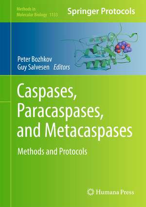 Caspases,Paracaspases, and Metacaspases: Methods and Protocols de Peter V. Bozhkov