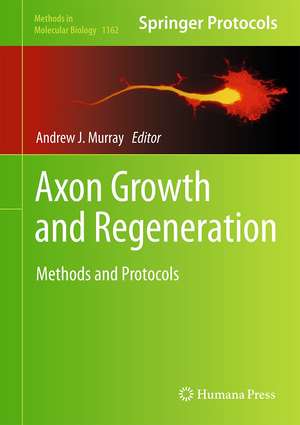 Axon Growth and Regeneration: Methods and Protocols de Andrew J. Murray