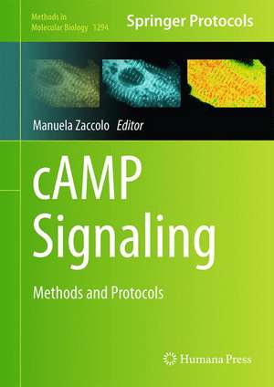 cAMP Signaling: Methods and Protocols de Manuela Zaccolo