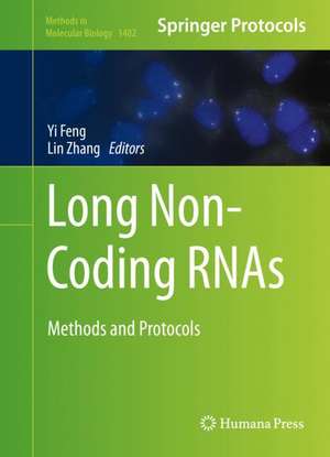 Long Non-Coding RNAs: Methods and Protocols de Yi Feng