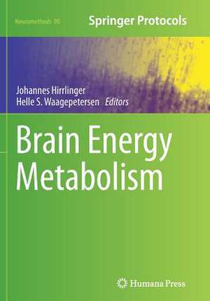 Brain Energy Metabolism de Johannes Hirrlinger