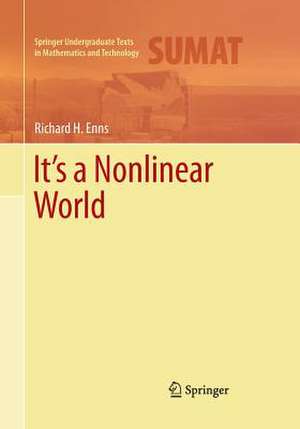 It's a Nonlinear World de Richard H. Enns