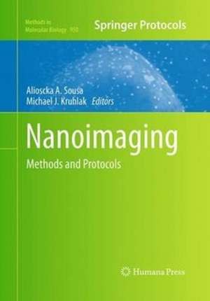 Nanoimaging: Methods and Protocols de Alioscka A. Sousa