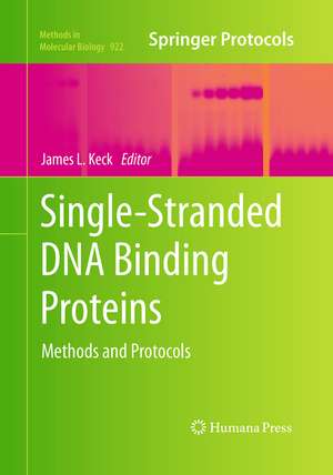 Single-Stranded DNA Binding Proteins de James L. Keck