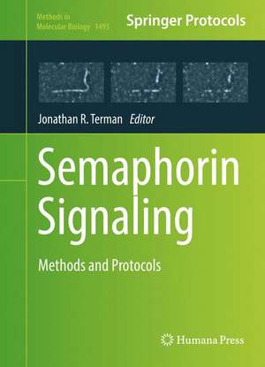 Semaphorin Signaling: Methods and Protocols de Jonathan R. Terman