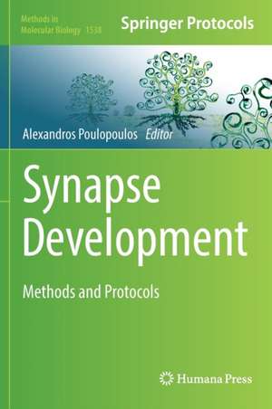 Synapse Development: Methods and Protocols de Alexandros Poulopoulos