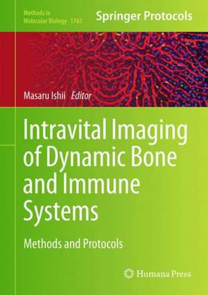 Intravital Imaging of Dynamic Bone and Immune Systems: Methods and Protocols de Masaru Ishii