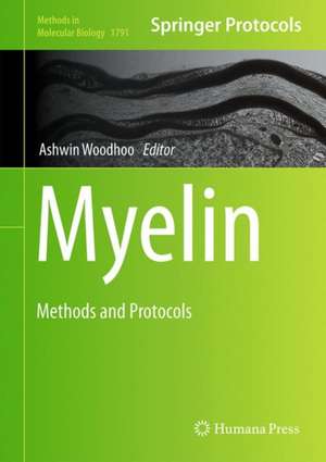 Myelin: Methods and Protocols de Ashwin Woodhoo