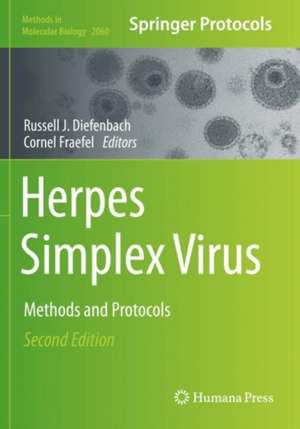 Herpes Simplex Virus de Russell J Diefenbach