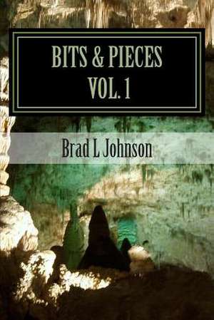 Bits & Pieces Vol 1 de Brad L. Johnson