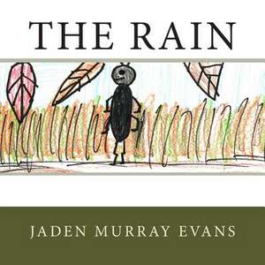 The Rain de Jaden Murray Evans