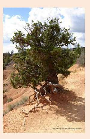 Tree in the Dunes 2014 Weekly Calendar de K. Rose