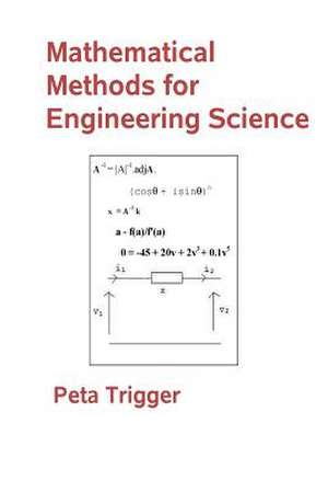 Mathematical Methods for Engineering Science de Peta Trigger