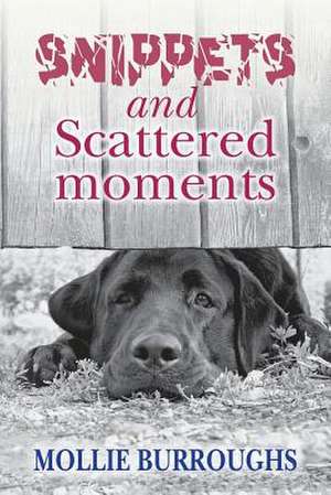 Snippets and Scattered Moments de Mollie Burroughs