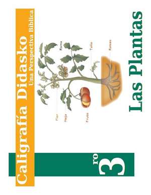 Caligrafia 3 de Celvia De Oleo