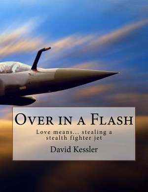 Over in a Flash de David Kessler